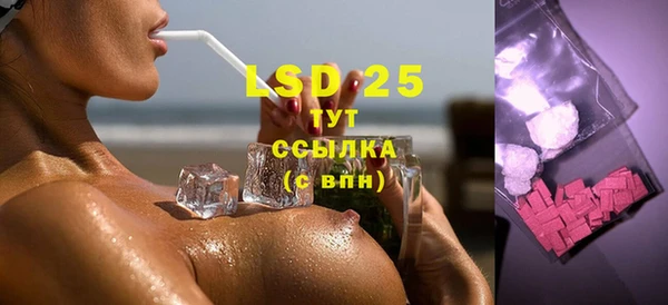 гидра Богданович
