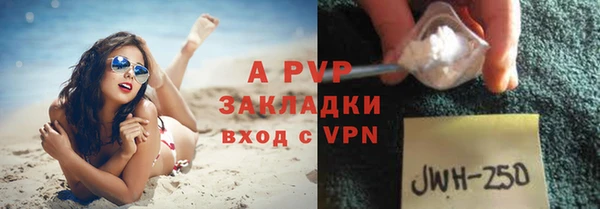 прущие крисы Беломорск