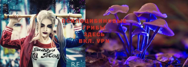 прущие крисы Богородицк
